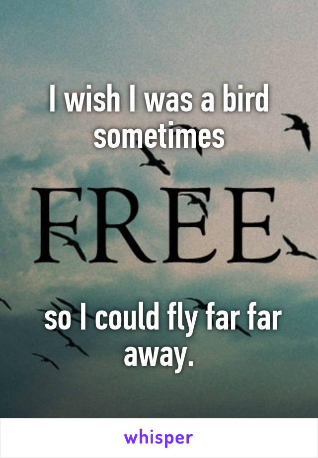 I wish I was a bird sometimes




 so I could fly far far away.