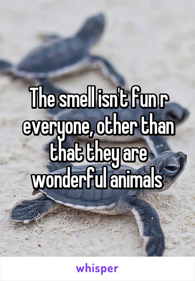 The smell isn't fun r everyone, other than that they are wonderful animals 