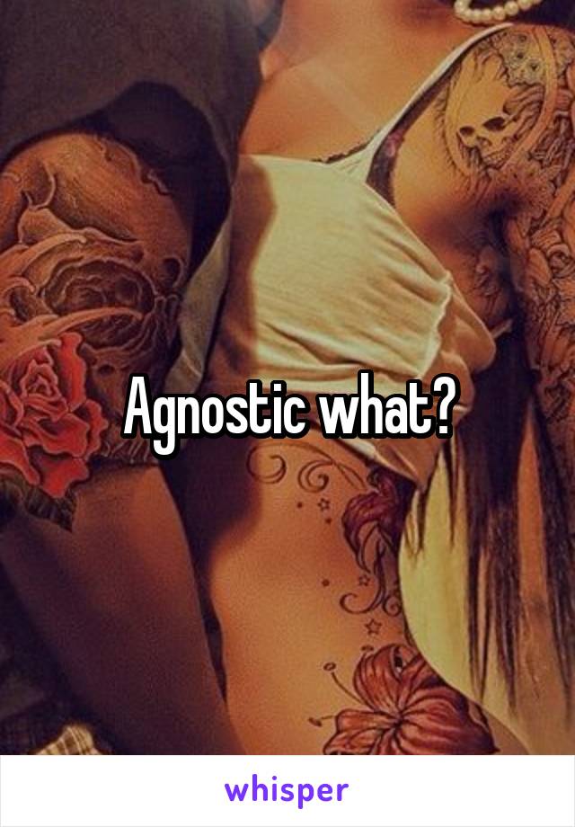 Agnostic what?