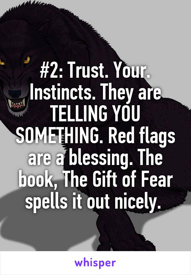 #2: Trust. Your. Instincts. They are TELLING YOU SOMETHING. Red flags are a blessing. The book, The Gift of Fear spells it out nicely. 