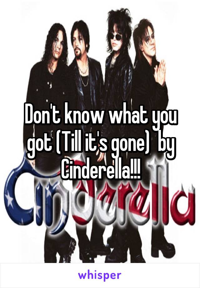 Don't know what you got (Till it's gone)  by Cinderella!!!