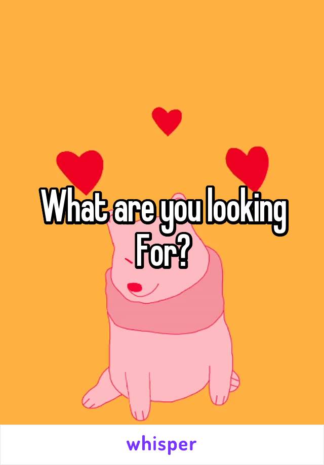 What are you looking For?