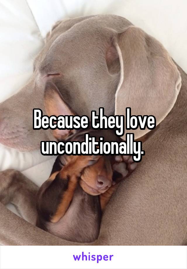 Because they love unconditionally. 