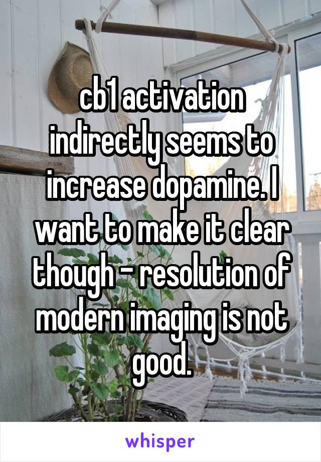 cb1 activation indirectly seems to increase dopamine. I want to make it clear though - resolution of modern imaging is not good.