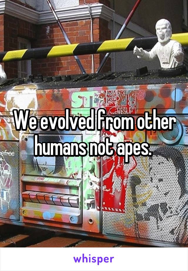 We evolved from other humans not apes. 