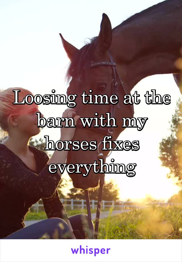 Loosing time at the barn with my horses fixes everything