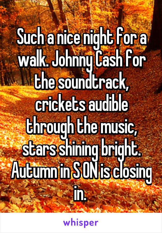 Such a nice night for a walk. Johnny Cash for the soundtrack, crickets audible through the music, stars shining bright. Autumn in S ON is closing in. 
