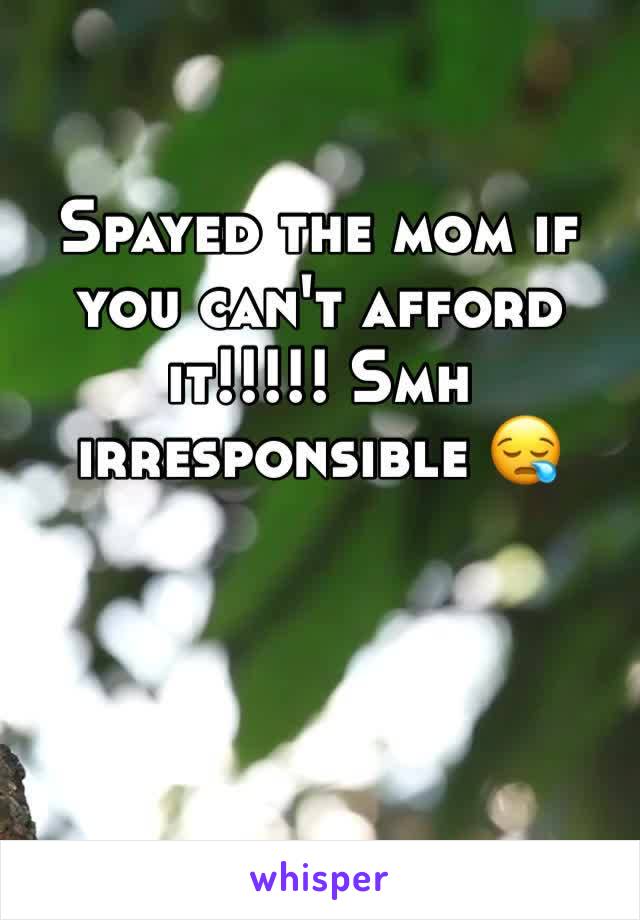 Spayed the mom if you can't afford it!!!!! Smh irresponsible 😪 