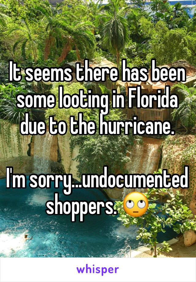 It seems there has been some looting in Florida due to the hurricane. 

I'm sorry...undocumented shoppers. 🙄