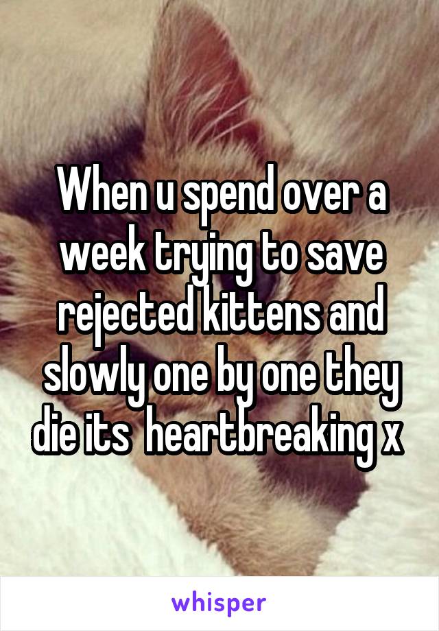 When u spend over a week trying to save rejected kittens and slowly one by one they die its  heartbreaking x 