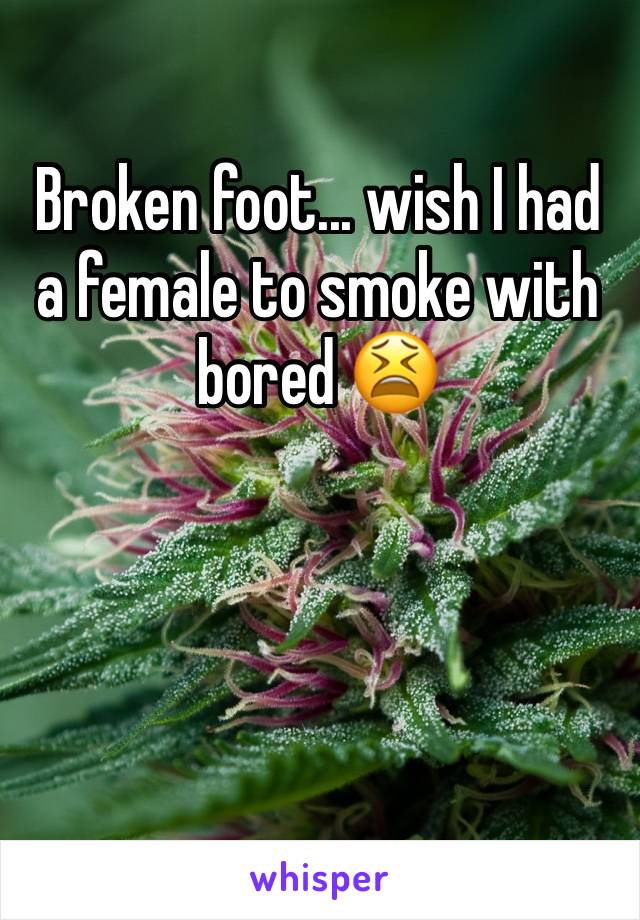 Broken foot... wish I had a female to smoke with bored 😫