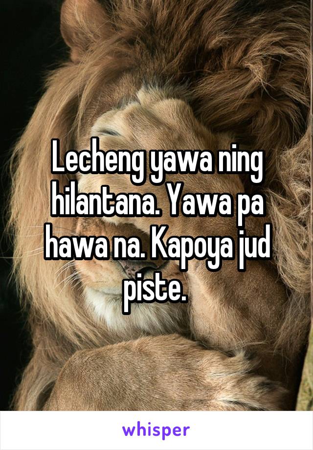 Lecheng yawa ning hilantana. Yawa pa hawa na. Kapoya jud piste. 