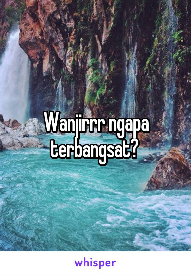 Wanjirrr ngapa terbangsat? 