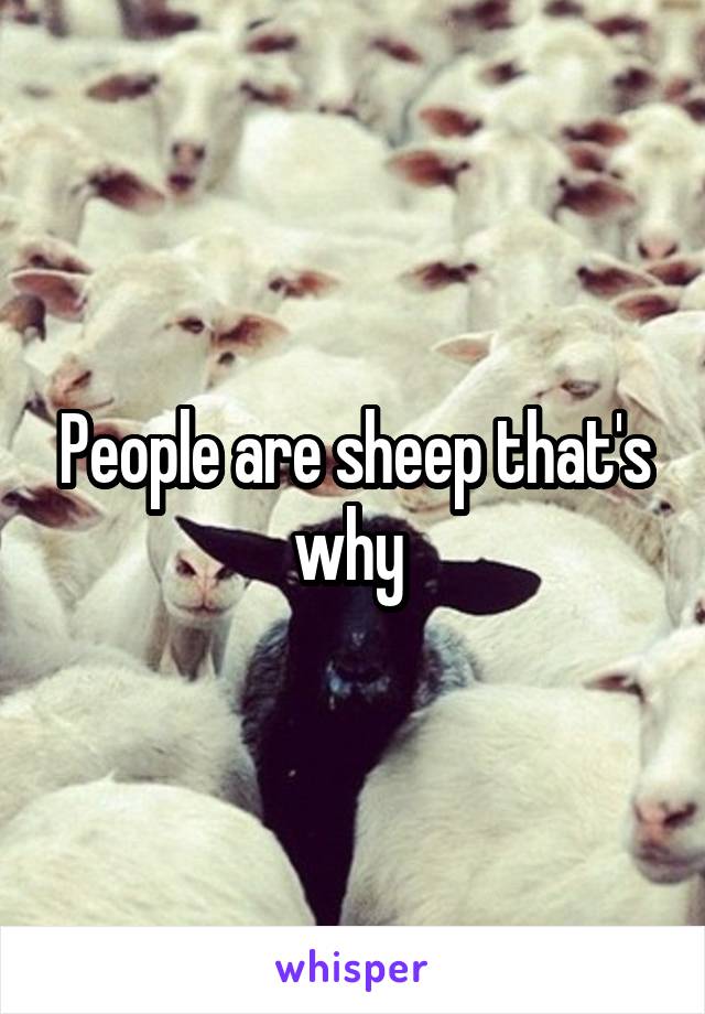 People are sheep that's why 