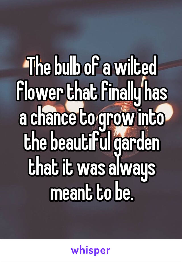 The bulb of a wilted flower that finally has a chance to grow into the beautiful garden that it was always meant to be.