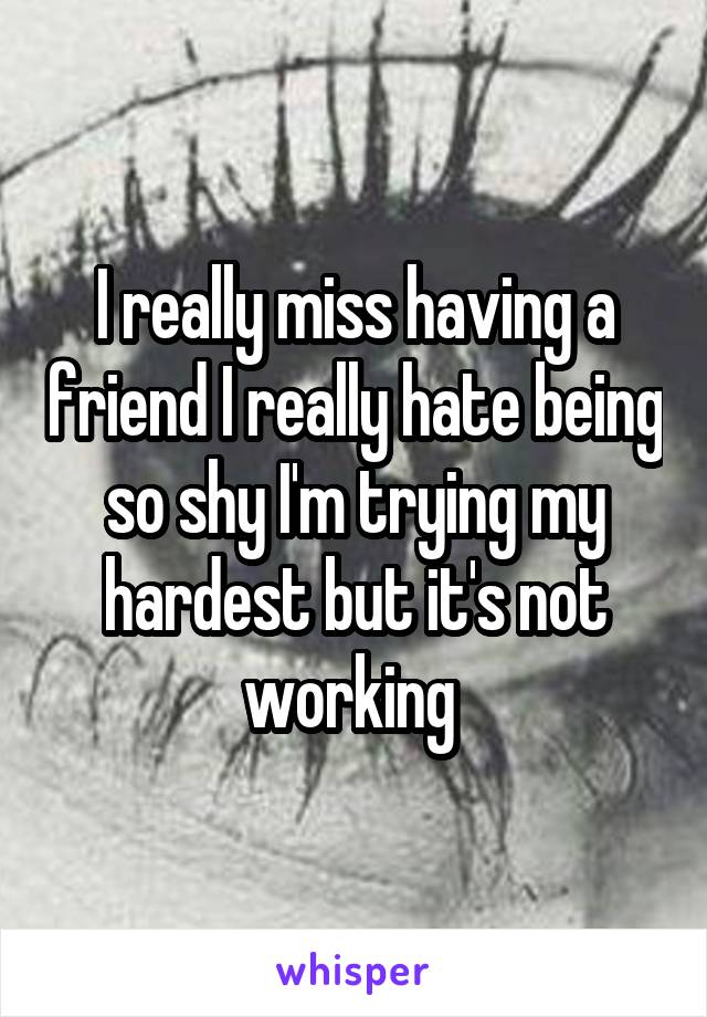 I really miss having a friend I really hate being so shy I'm trying my hardest but it's not working 