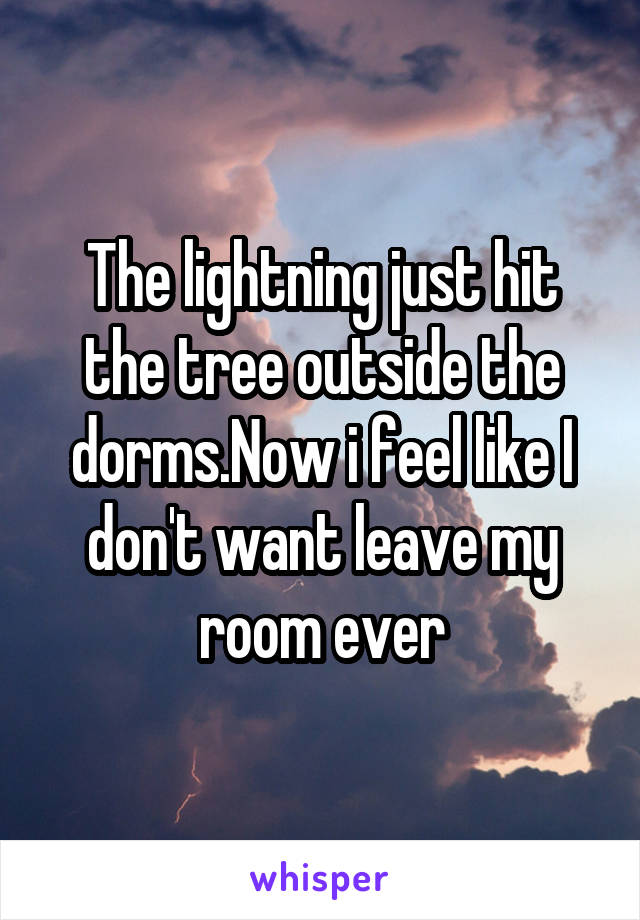 The lightning just hit the tree outside the dorms.Now i feel like I don't want leave my room ever