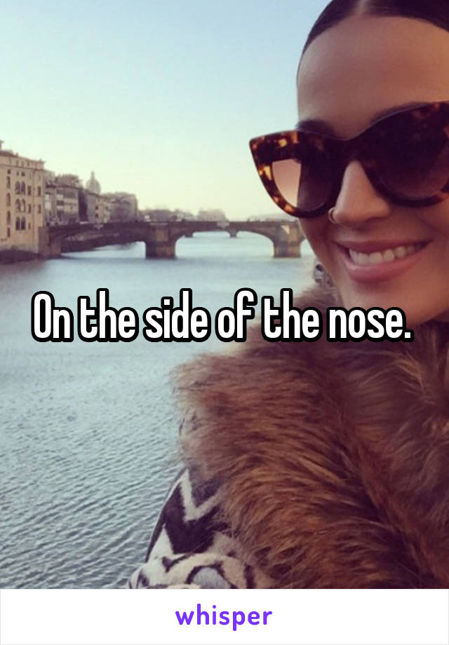 On the side of the nose. 