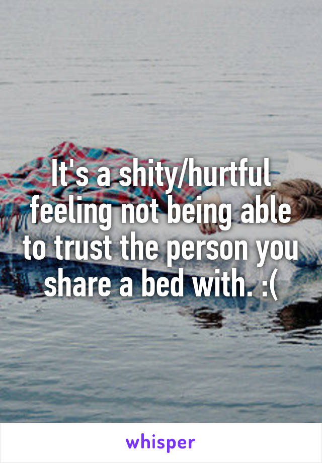 It's a shity/hurtful feeling not being able to trust the person you share a bed with. :(