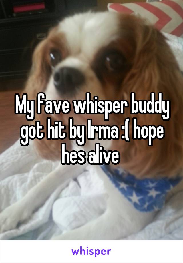 My fave whisper buddy got hit by Irma :( hope hes alive 