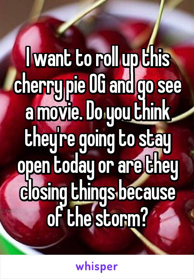 I want to roll up this cherry pie OG and go see a movie. Do you think they're going to stay open today or are they closing things because of the storm?