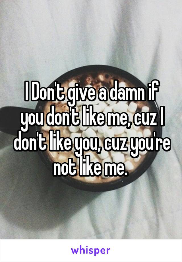 I Don't give a damn if you don't like me, cuz I don't like you, cuz you're not like me. 