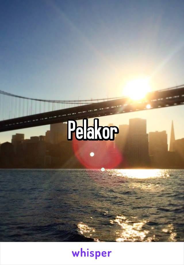 Pelakor