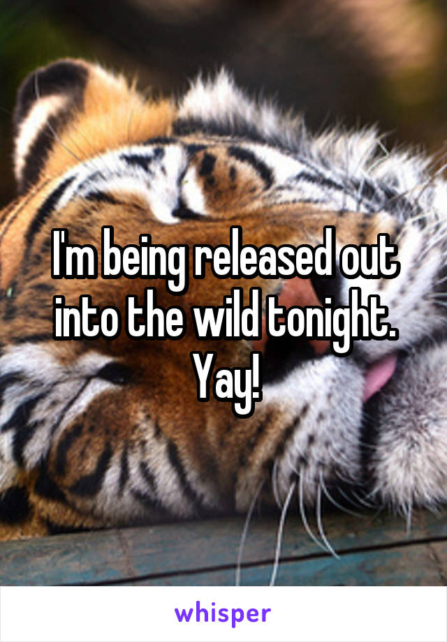 I'm being released out into the wild tonight. Yay!