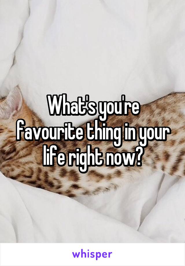 What's you're favourite thing in your life right now?