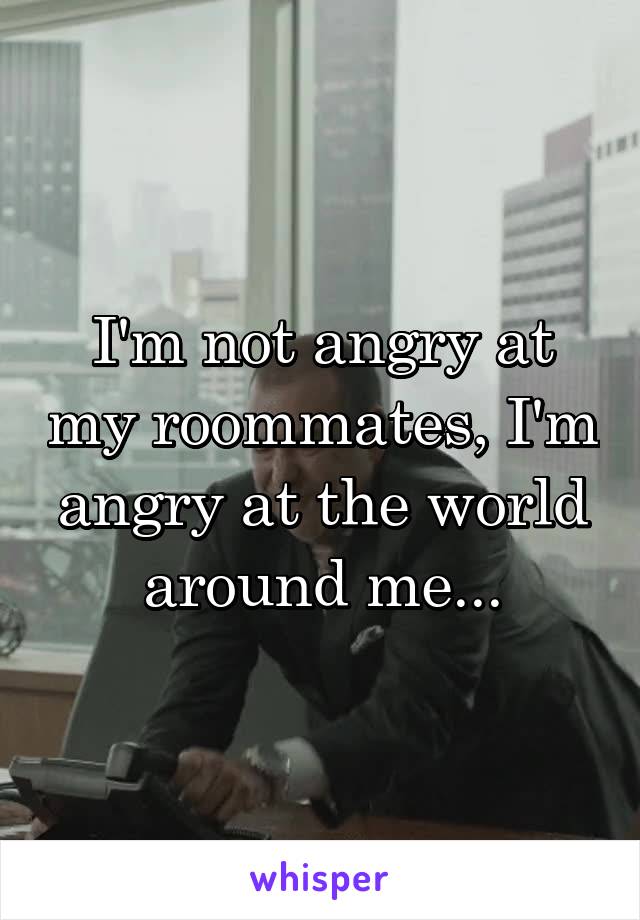 I'm not angry at my roommates, I'm angry at the world around me...