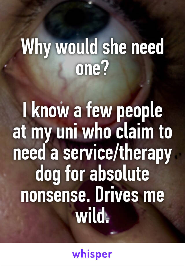 Why would she need one?

I know a few people at my uni who claim to need a service/therapy dog for absolute nonsense. Drives me wild.