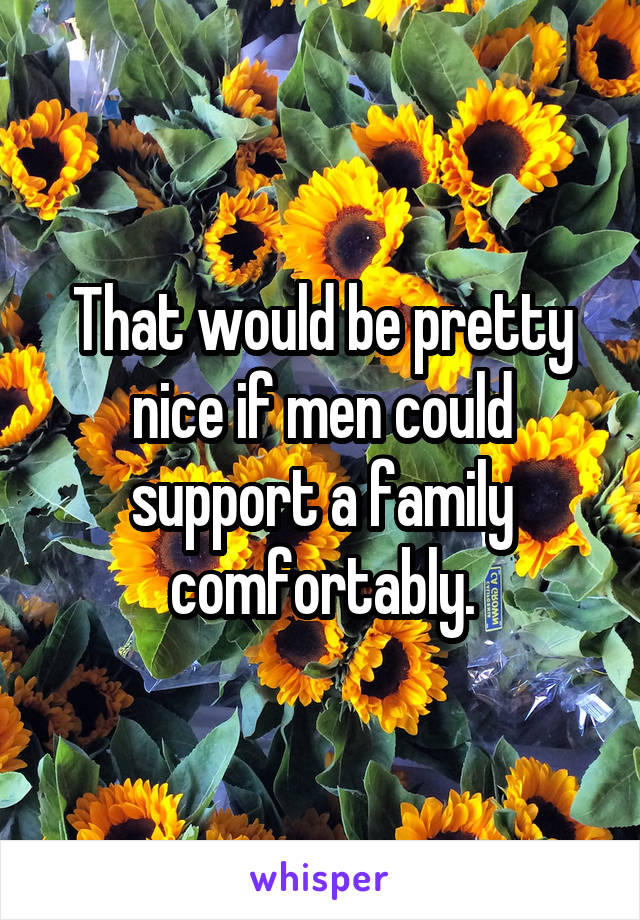 That would be pretty nice if men could support a family comfortably.