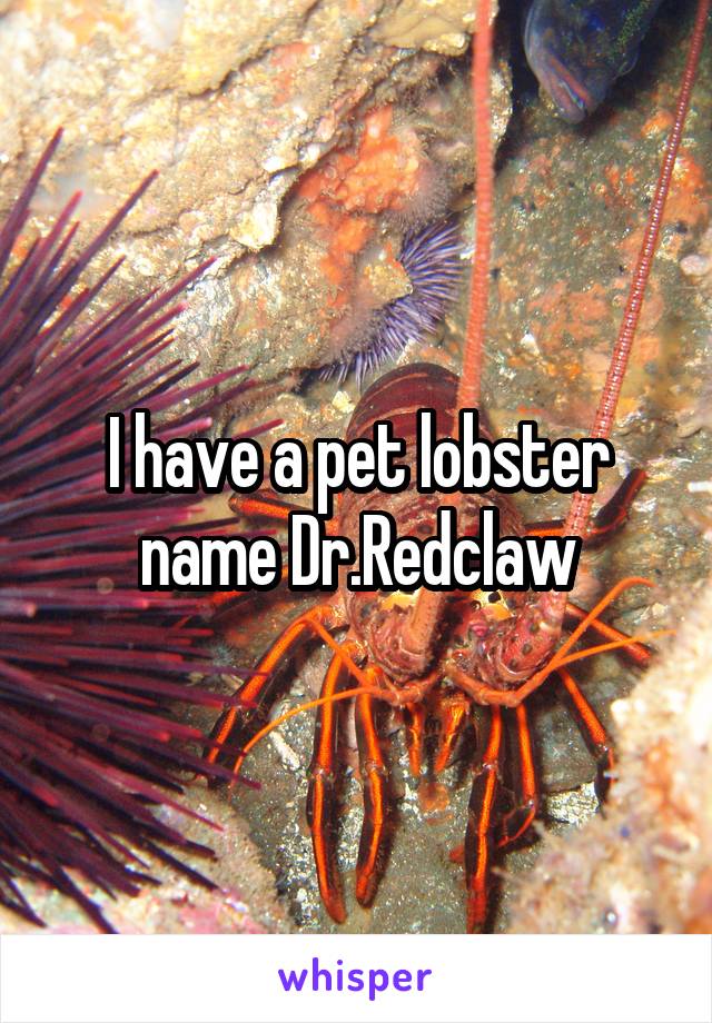 I have a pet lobster name Dr.Redclaw