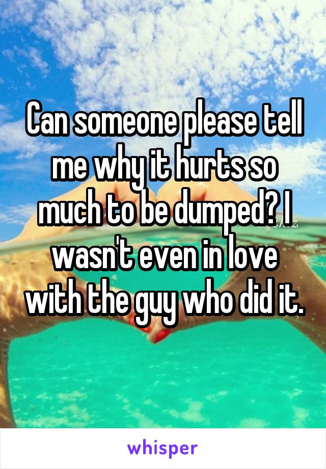 Can someone please tell me why it hurts so much to be dumped? I wasn't even in love with the guy who did it. 