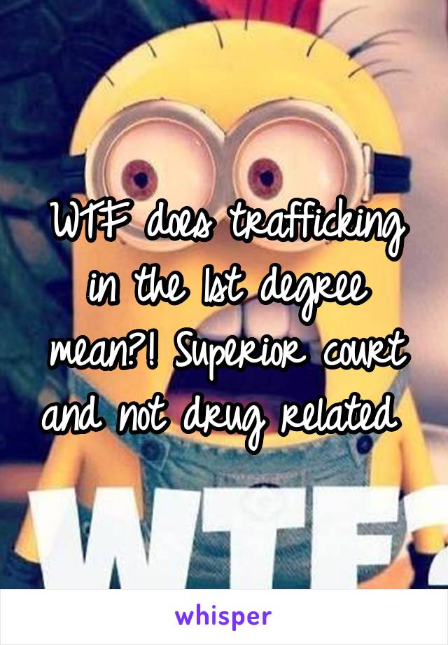 WTF does trafficking in the 1st degree mean?! Superior court and not drug related 