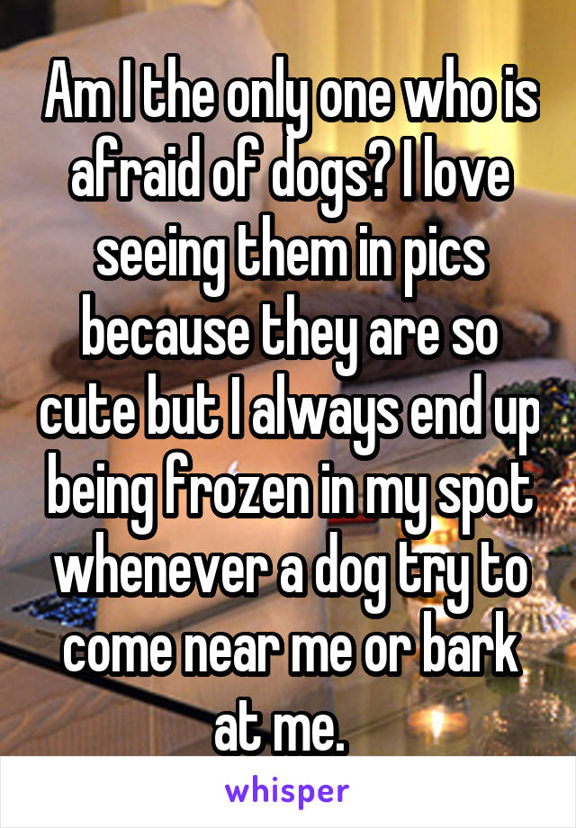 Am I the only one who is afraid of dogs? I love seeing them in pics because they are so cute but I always end up being frozen in my spot whenever a dog try to come near me or bark at me.  