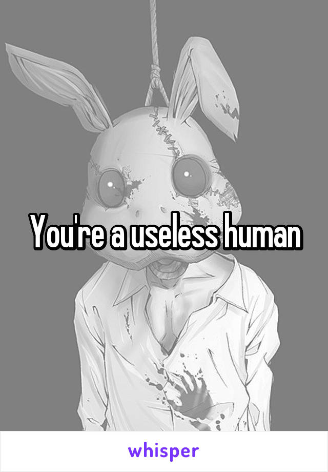 You're a useless human