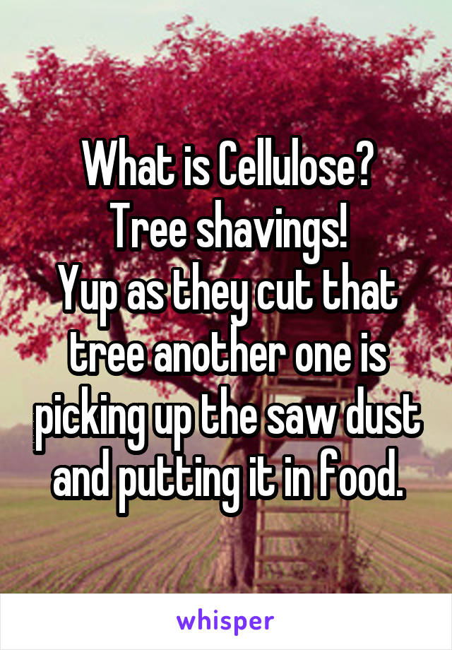 What is Cellulose?
Tree shavings!
Yup as they cut that tree another one is picking up the saw dust and putting it in food.