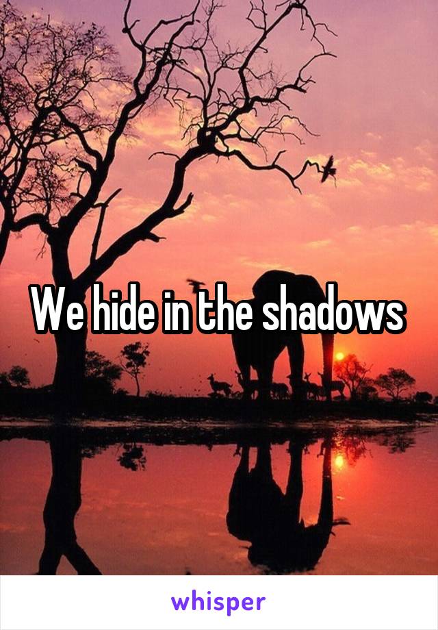 We hide in the shadows 