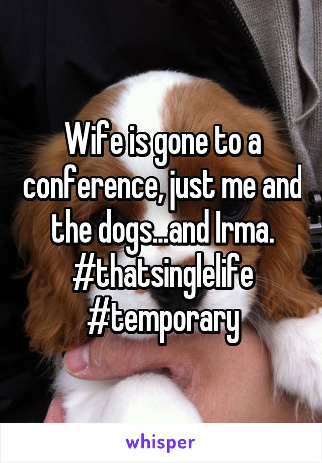 Wife is gone to a conference, just me and the dogs...and Irma. #thatsinglelife #temporary