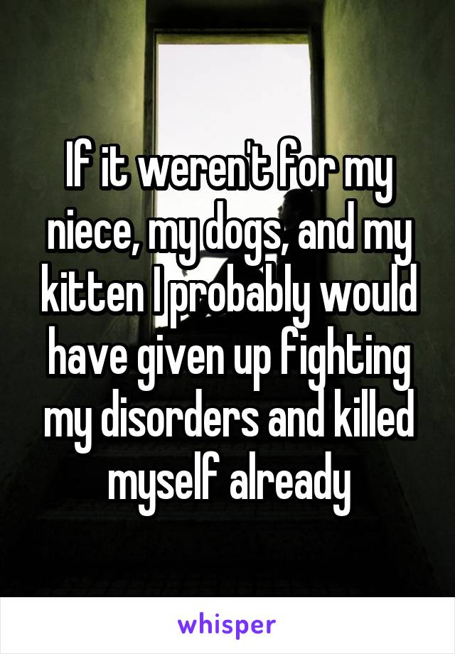 If it weren't for my niece, my dogs, and my kitten I probably would have given up fighting my disorders and killed myself already