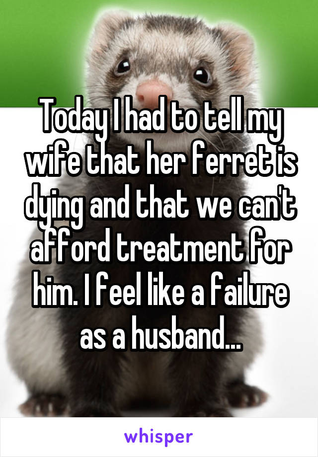 Today I had to tell my wife that her ferret is dying and that we can't afford treatment for him. I feel like a failure as a husband...