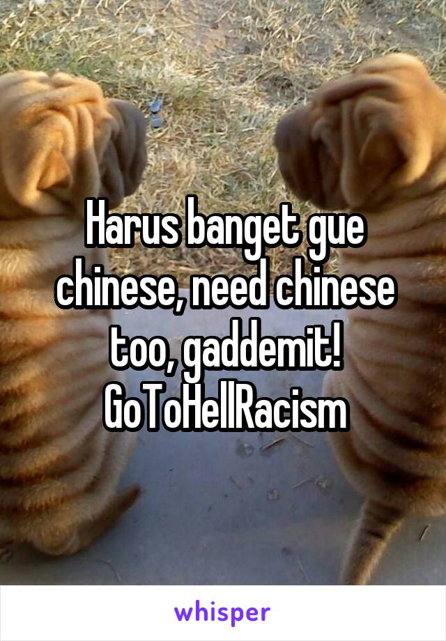 Harus banget gue chinese, need chinese too, gaddemit!
GoToHellRacism