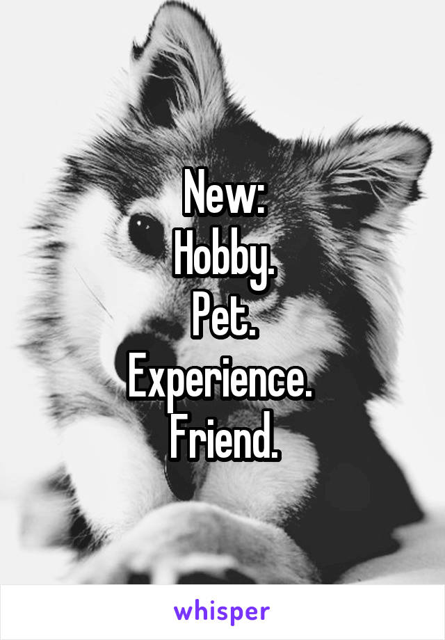 New:
Hobby.
Pet.
Experience. 
Friend.