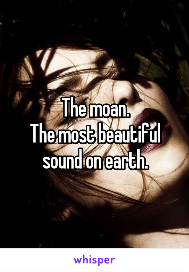 The moan.
The most beautiful sound on earth.