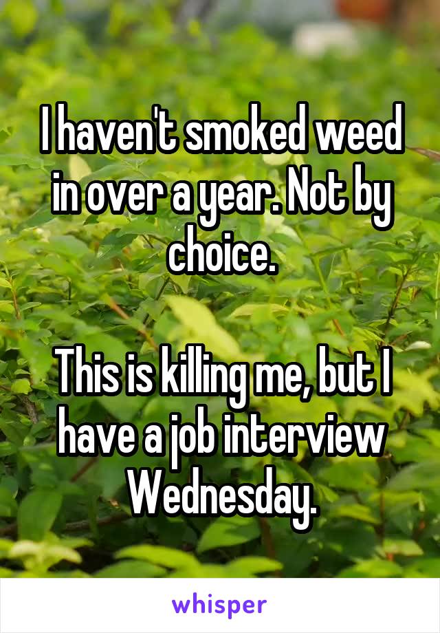 I haven't smoked weed in over a year. Not by choice.

This is killing me, but I have a job interview Wednesday.