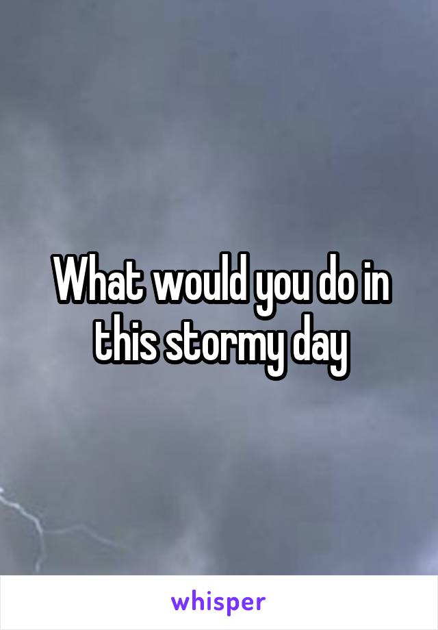 What would you do in this stormy day