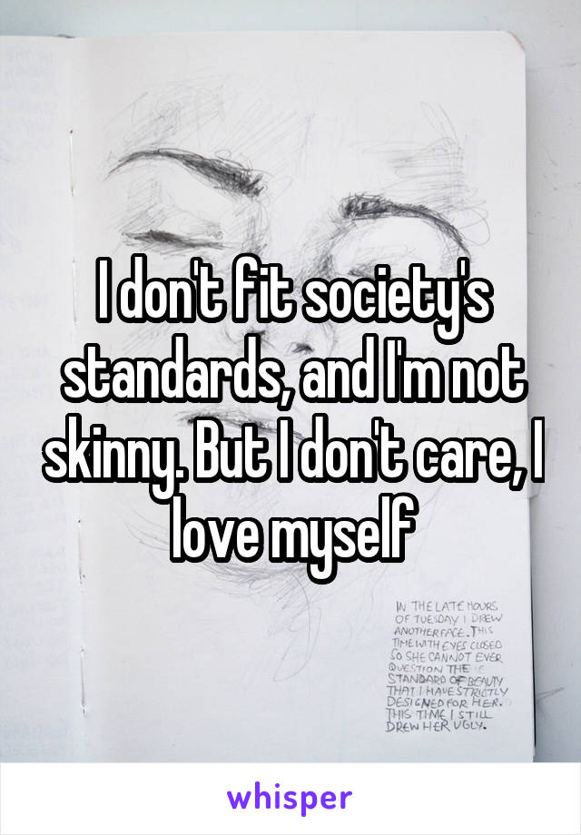 I don't fit society's standards, and I'm not skinny. But I don't care, I love myself