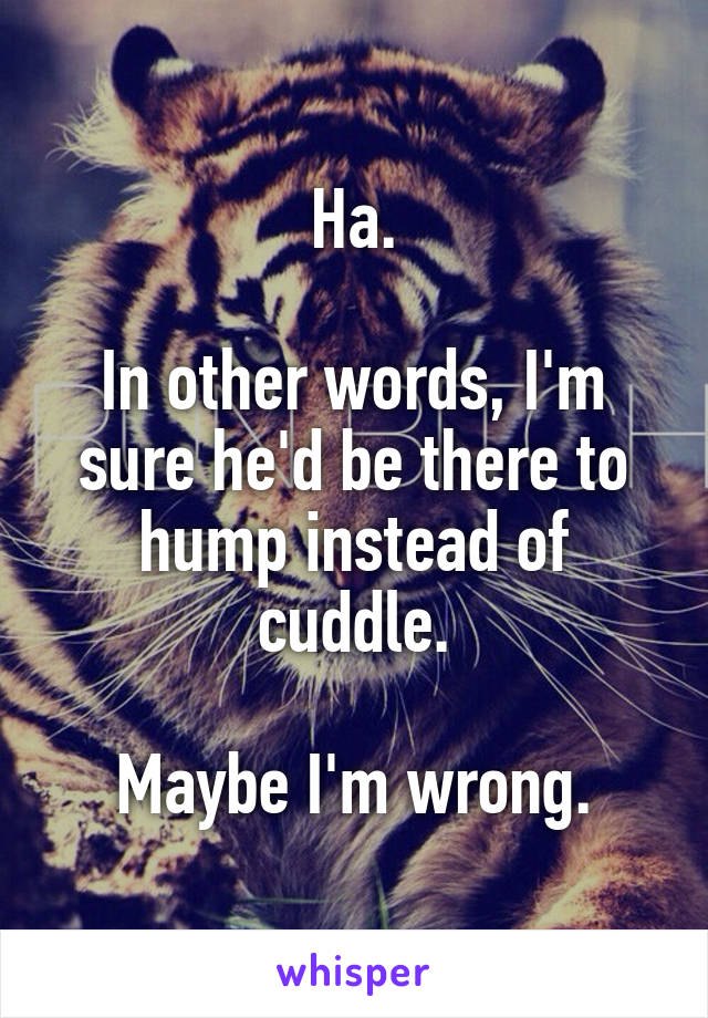 Ha.

In other words, I'm sure he'd be there to hump instead of cuddle.

Maybe I'm wrong.