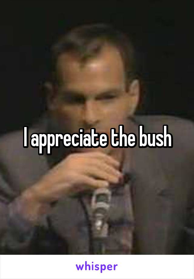 I appreciate the bush